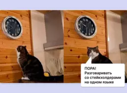 Стейкхолдер-менеджмент