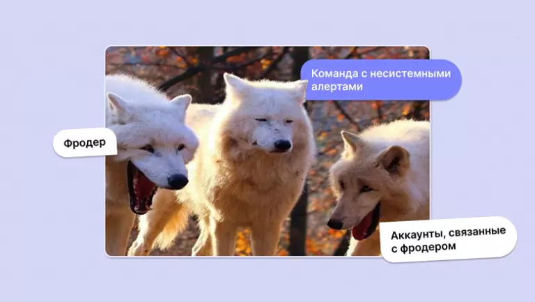 Аналитик, который кричал «Волки!»: как мы перестали бороться с алертами и начали думать о фроде иначе